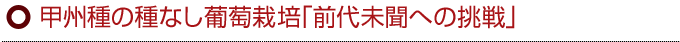 甲州種の種なし葡萄栽培「前代未聞への挑戦」