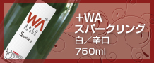 リュギースパーク＋ＷＡ　白